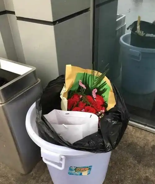 情人节后,捡到1把玫瑰花,剪下枝条插土里,变成了小花园月季叶子垃圾桶