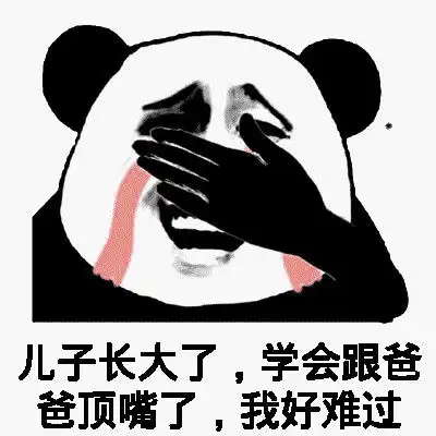 爆笑故事老爸老妈都去地里干农活了,到了我大展厨艺的时候了
