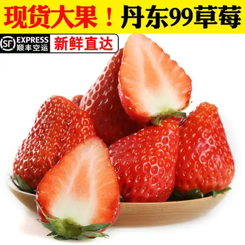 正宗丹东红颜99草莓新鲜水果新鲜奶油牛奶东港大草莓顺丰包邮
