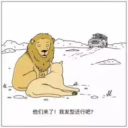 你说拍死蚊子的前一秒它在想什么...
