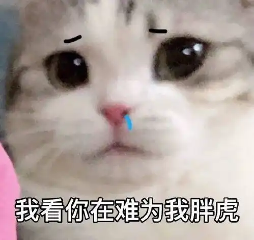 初级会计实务和经济法基础哪科更难
