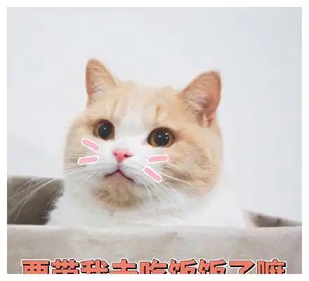 搞笑图片家里有一人高大的布熊,主要用来防老妈
