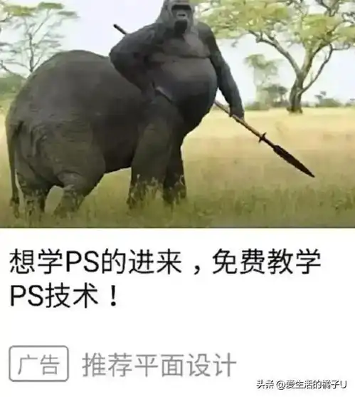 神回复单休工作可以找,但钱得到位啊
