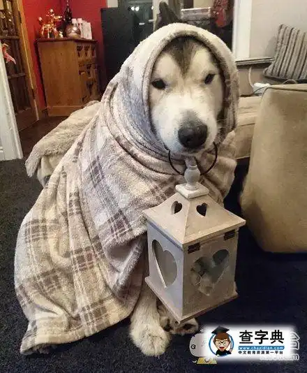 化妆一下准备出门了搞笑图片
