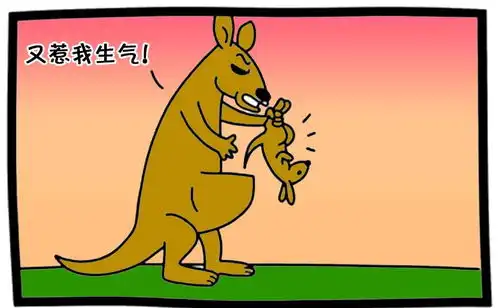 恶搞漫画可怜的袋鼠妈妈
