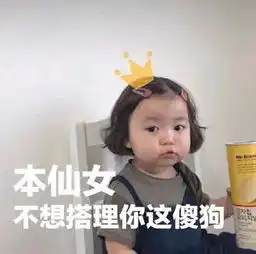 罗熙表情包本仙女不想搭理你这傻狗
