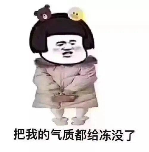 四会最低气温降至2,还有低温霜冻天气跨年寒潮来袭,速冻模式即将开启
