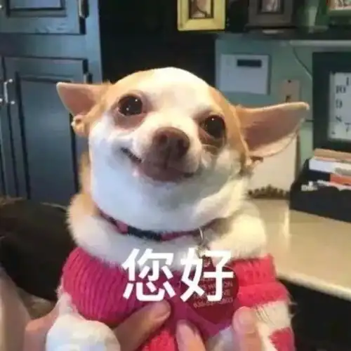 萌宠表情包终究还是错付了