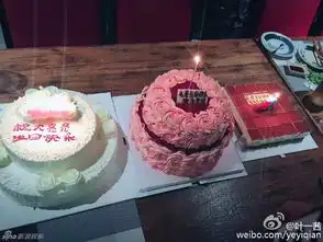 组图叶一茜一家为田亮庆生手切蛋糕温馨甜蜜
