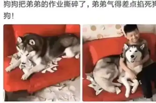 这是什么躺板板套餐
