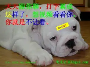 马云幽默相册
