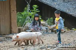 爸爸去哪儿第二季上演萌娃赶猪爆笑环节海量现场图片曝光
