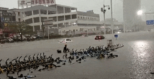 紧急暴雨大风雷电杀到东莞水浸图片很震撼东莞人的六一要泡汤啦...
