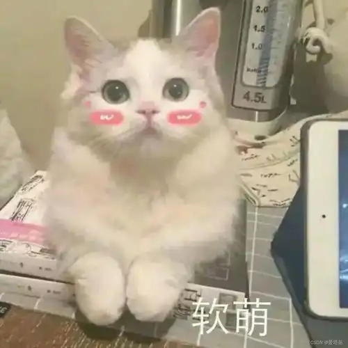 七夕搞笑图片带字表情猫