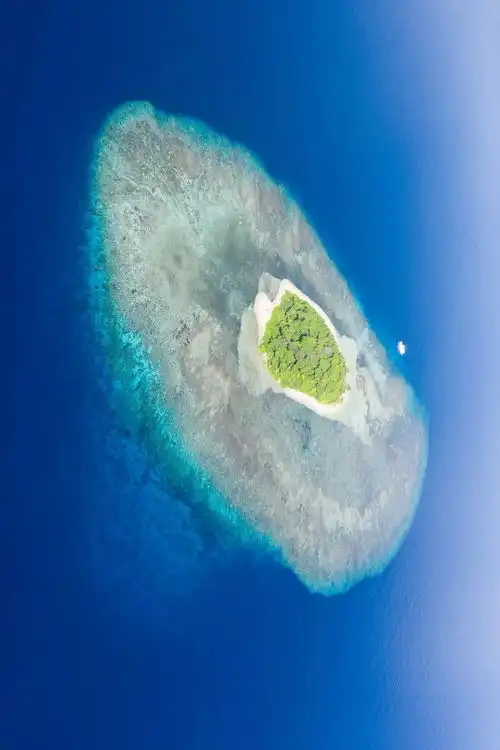 他们在海底搞基建