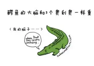 动物圈也卖萌,你造吗
