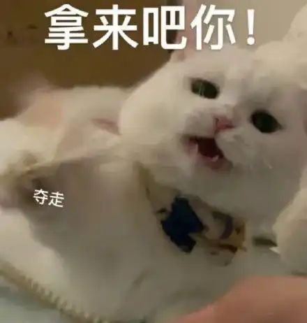 沙雕可爱表情包我怎么会生气呢