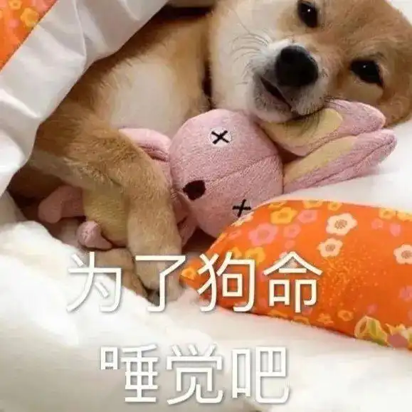 为什么晚上的手机比白天的好玩呢
