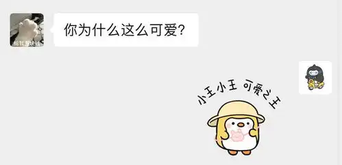 姓氏表情包和头像获取方式
