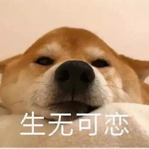 数据产品新人的三大有毒问题,你犯了吗
