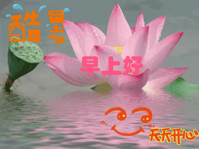 微信早上好表情图片问候短语,早上好表情带字动态图片大全
