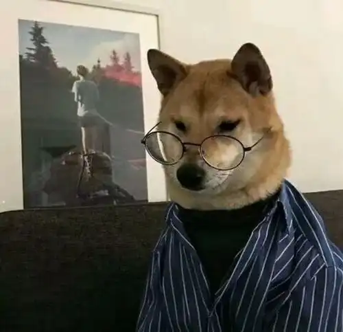 头像萌宠动物头