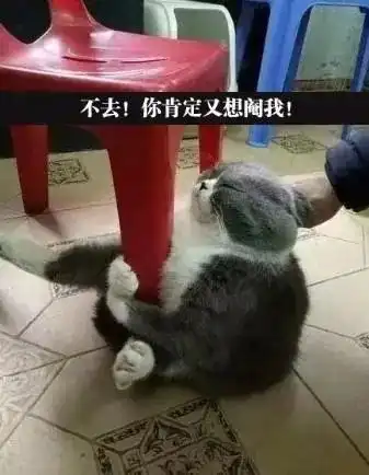 爆笑段子每次挨父母揍以后就想,为什么打孩子啊,这么残忍