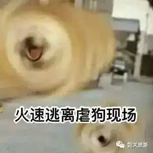 傲娇脸红qq表情包瑾轩