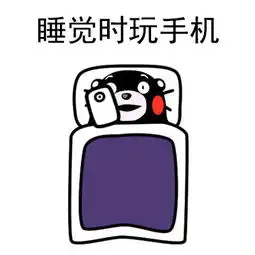 放假回家之后的日常状态4
