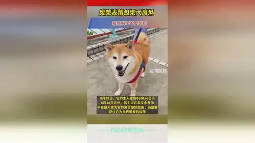 柴犬表情包带文字废柴