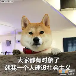 七夕单身狗柴犬图片七夕单身狗表情包柴犬下载乐游网游戏下载
