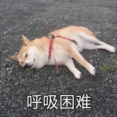 狗仔粥里没有狗仔,却有孩子的一片孝心