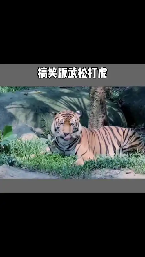 搞笑版武松打虎
