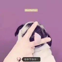 瑞瑞toby的美拍