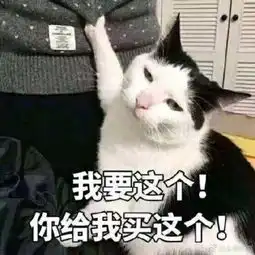爆笑双十一快递还没到的原因找到了

