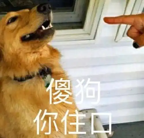 表情包我好累,我要姐姐抱着睡
