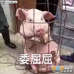 嘿嘿活了活了猪猪表情包只想躺在床上小猪表情包下载乐游网游戏下载