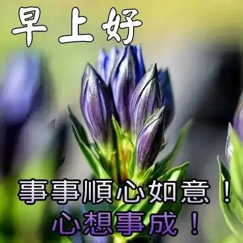 早上好朋友,微信最美早上好图片大全最漂亮早上好动态图片带字
