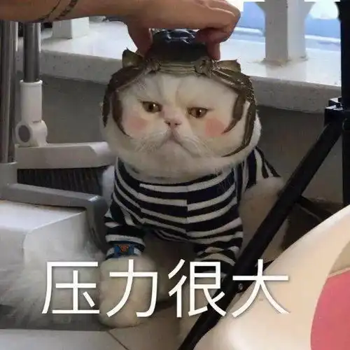 热门沙雕表情包能给我发20块钱红包买个月饼吗
