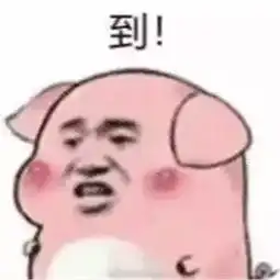 至萌新的一封信