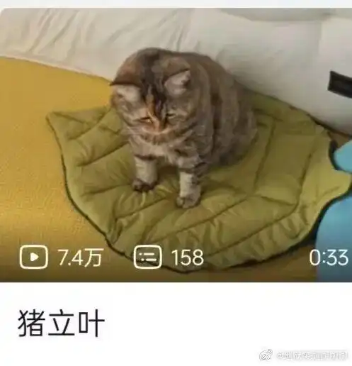 每日一冷no.4134
