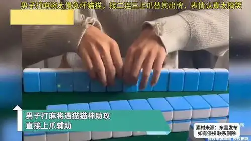 男子打麻将太慢急坏猫猫,接二连三上爪替其出牌,表情认真太搞笑
