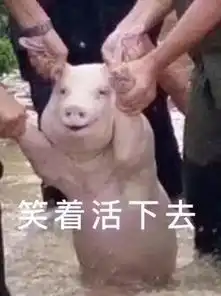 陇南猪肉涨价到1斤30多元年前能降价吗快看官方回复
