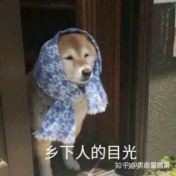 小明摇表情包动图非常爱