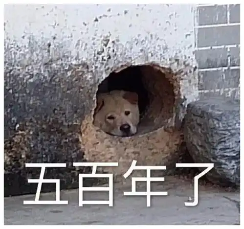开心段子,笑一天第85期
