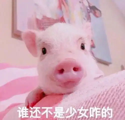 假期出游怎么妆,倪妮教你夏日桃花妆

