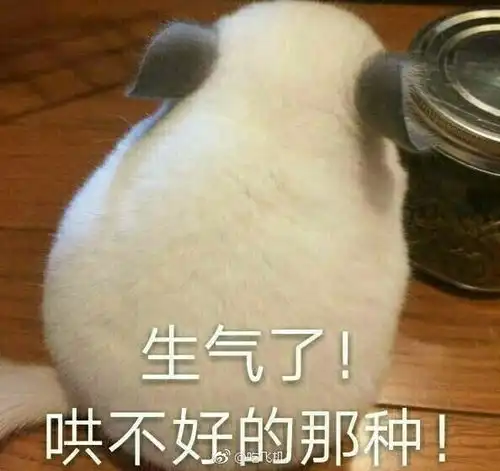 有关不搭理它的表情包搭