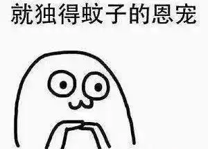 最招蚊子的血型是它如何才能成功躲避蚊子的偏爱
