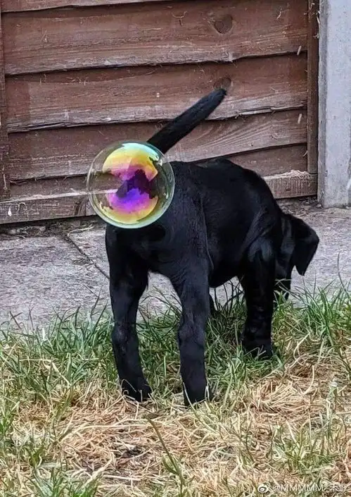 急求下酒电影