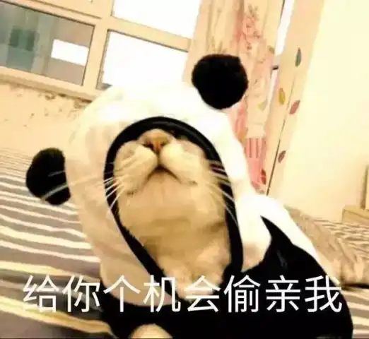 撒娇专用的猫咪表情包
